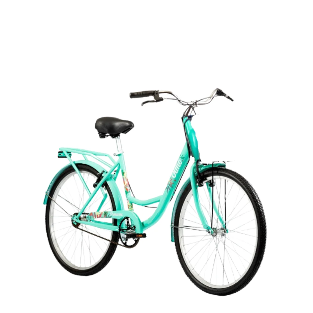 Rental bike tulum